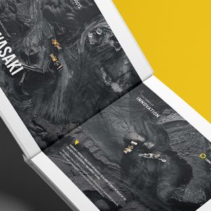 Koi 2025-1 New Catalog